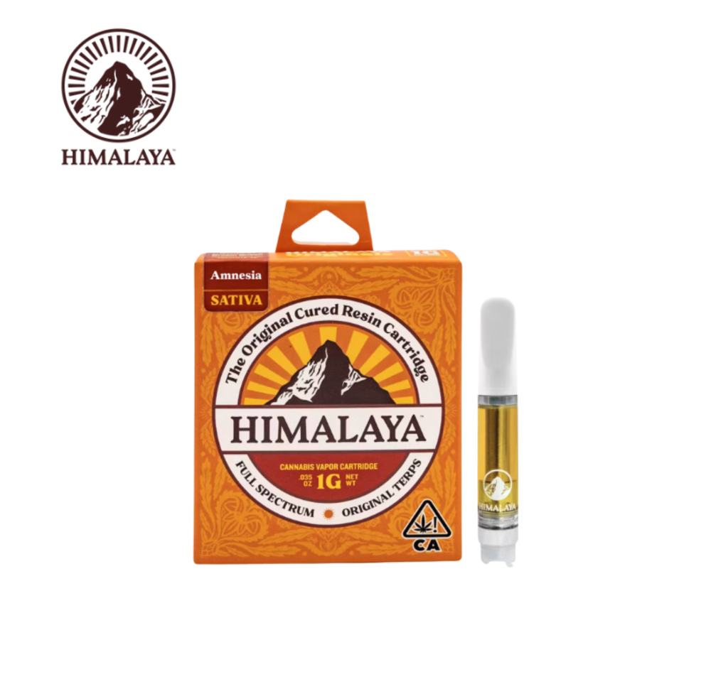 Amnesia 1g Cured Resin Cartridge