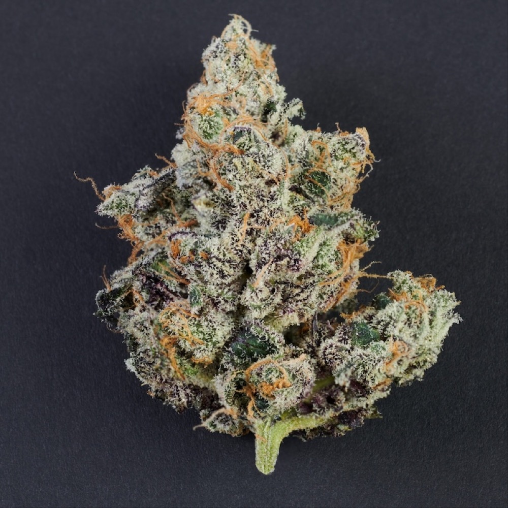 Impressed - Truffle Cake Flower