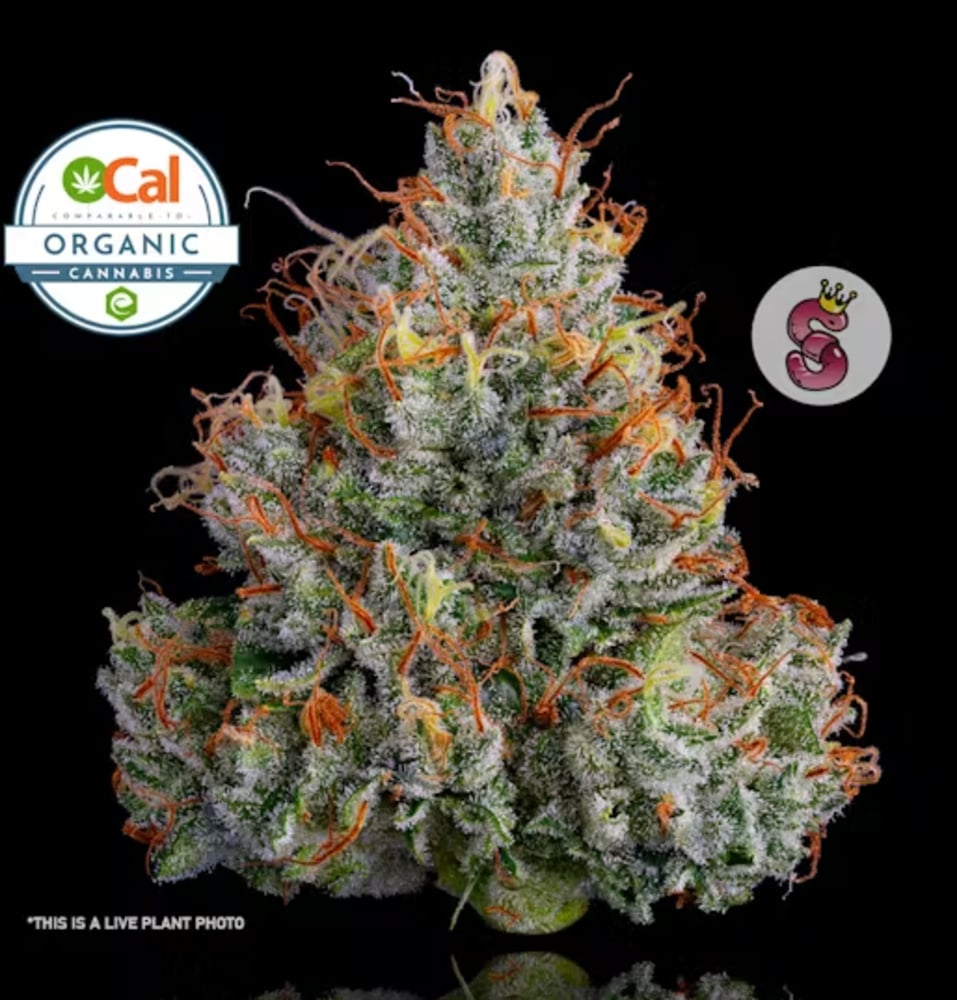 Lemon Banana Sherbet