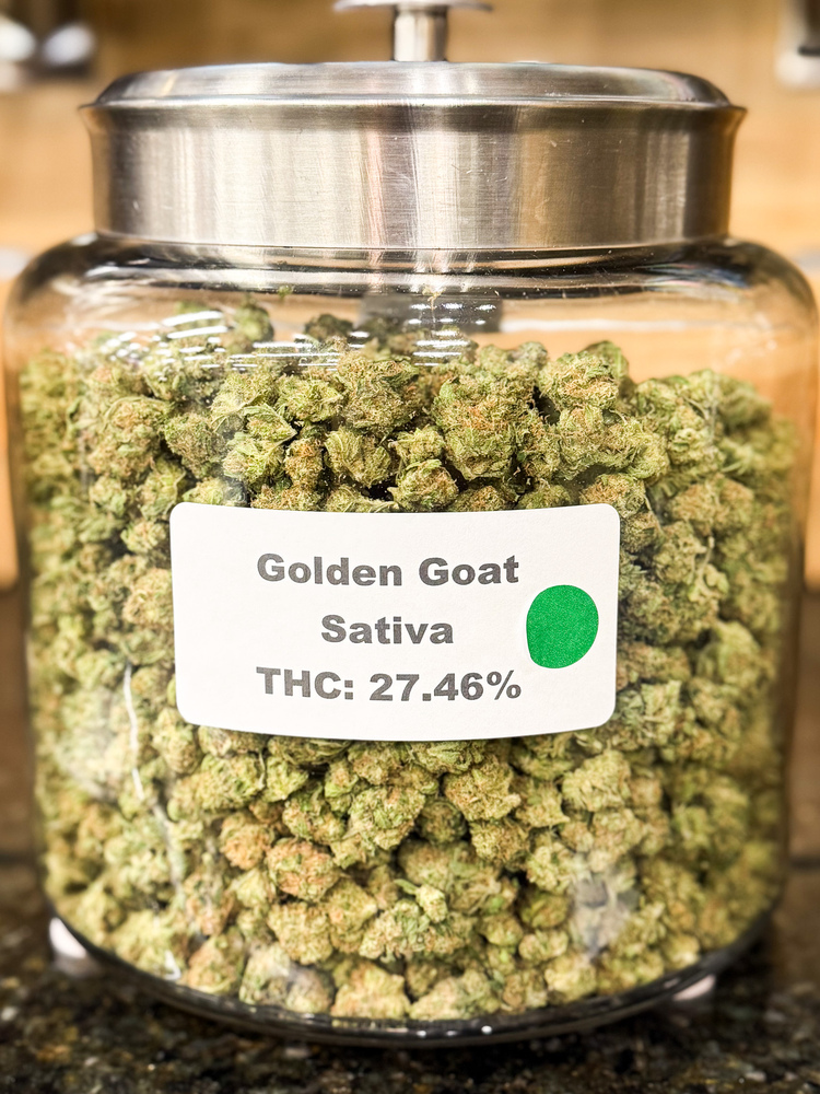 Golden Goat