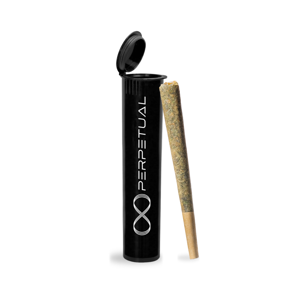 Perpetual - Gary Poppins #4 Pre-Roll (1g)