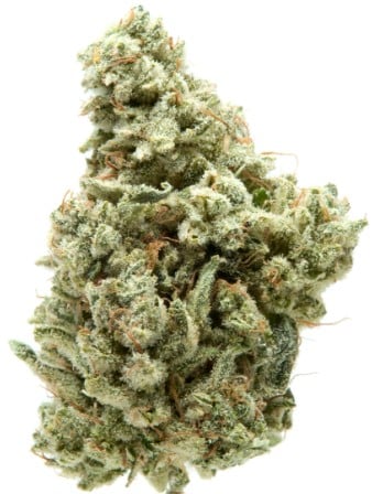 GG #4