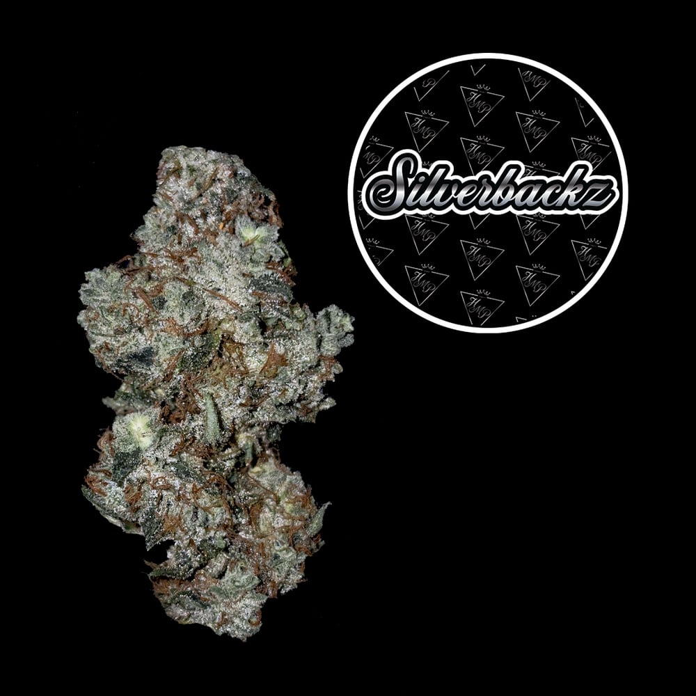 HighMark Provisions - Silverbackz Flower HighMark Provisions - Silverbackz Flower