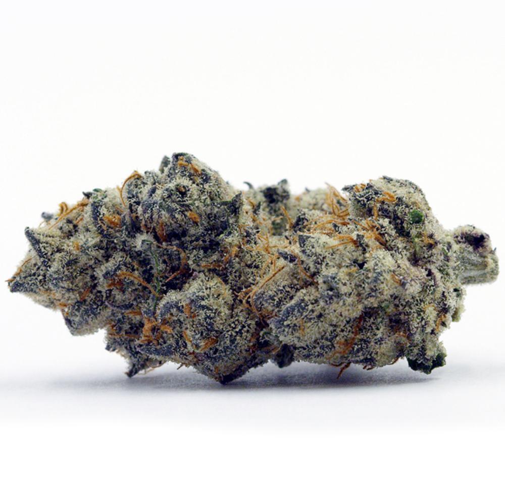 Apple Fritter