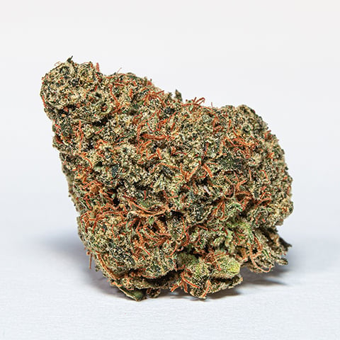 Head Cheese