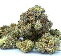 Mahalo Marshmallow