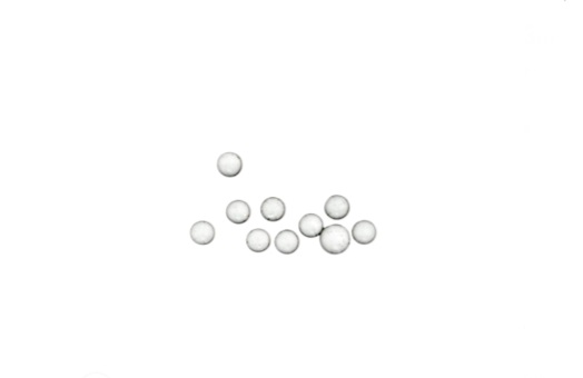 Terp Pearl Set $5