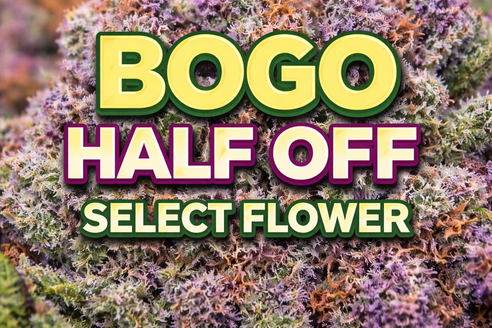 BUY 1 Get the next 50% OFF special