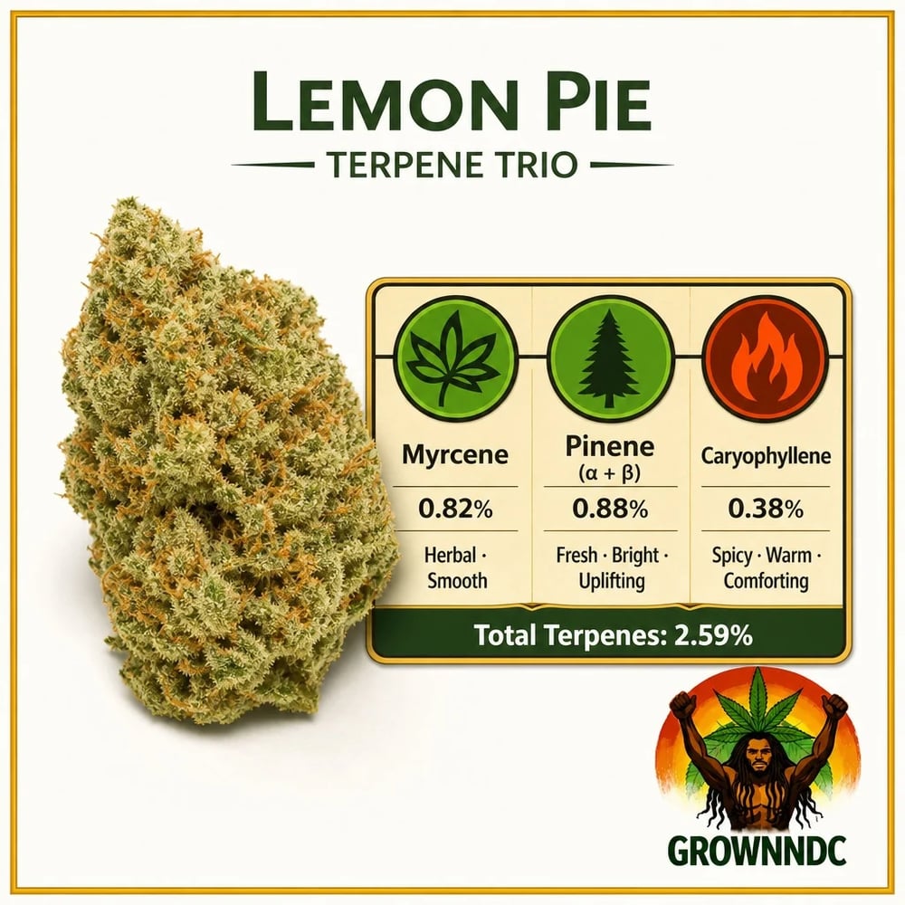 Lemon Pie [.7g]