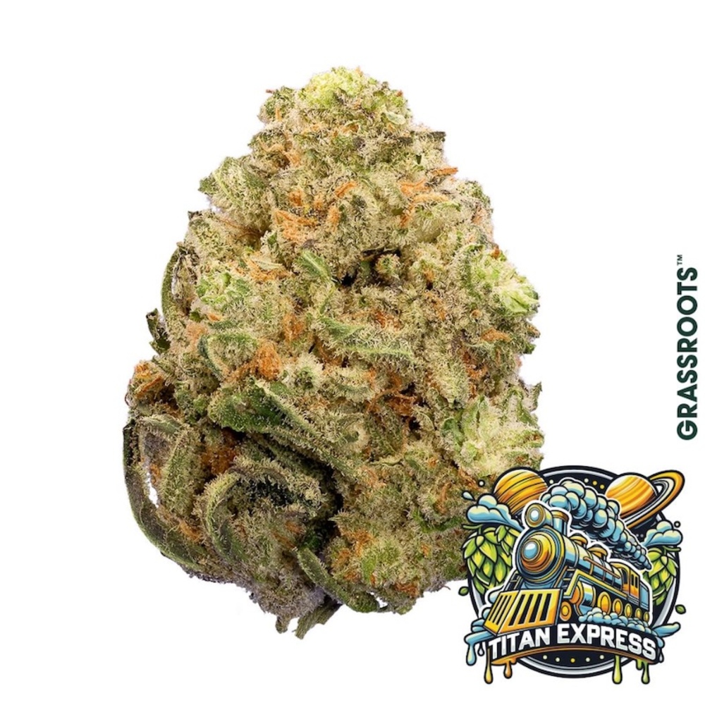 Grassroots - Titan Express Smalls