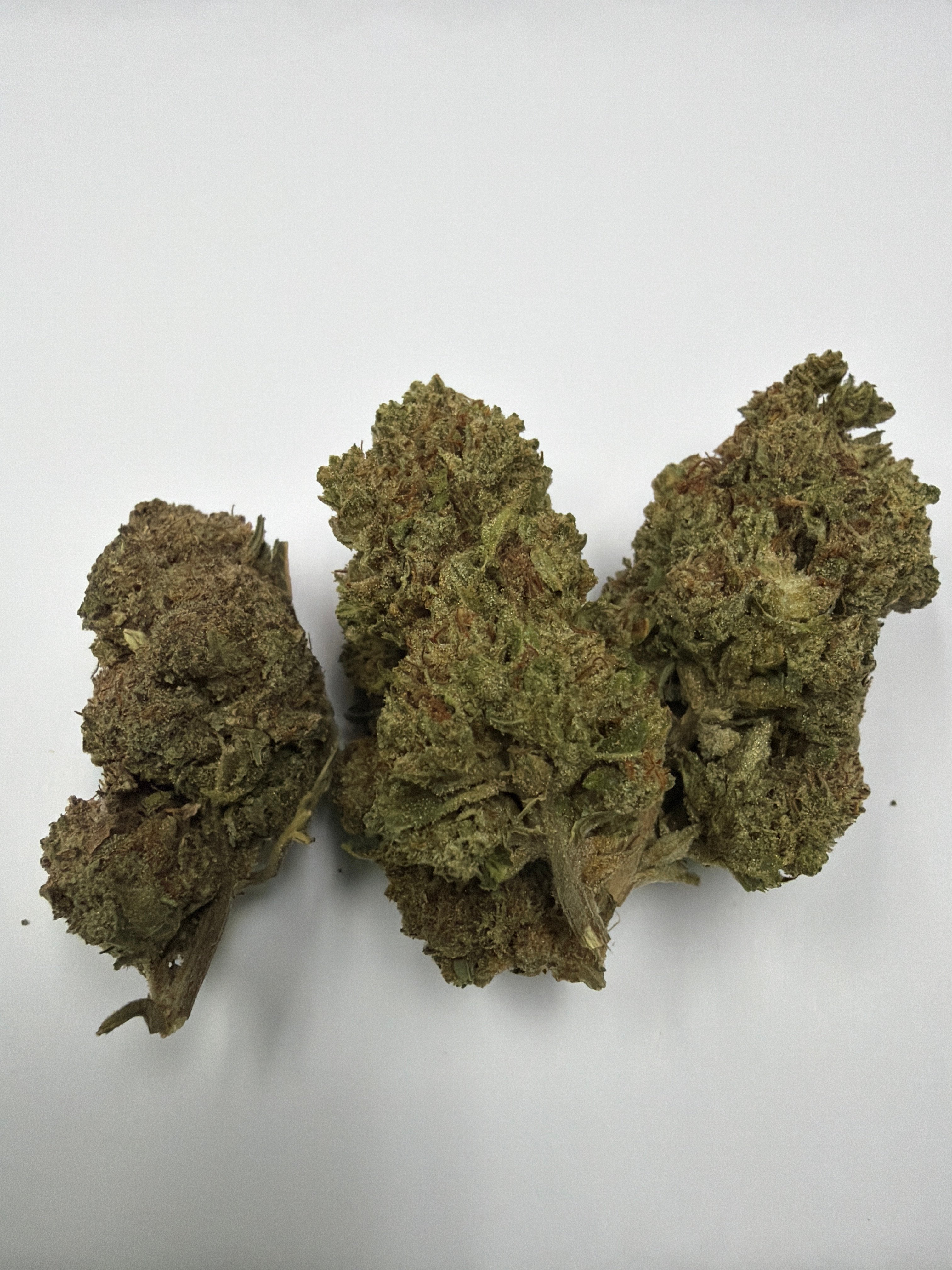 Superboof x Trop Cherry
