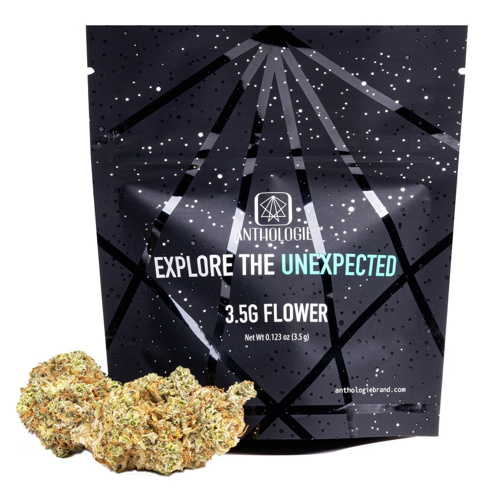 Anthologie - WatermelonZ Flower