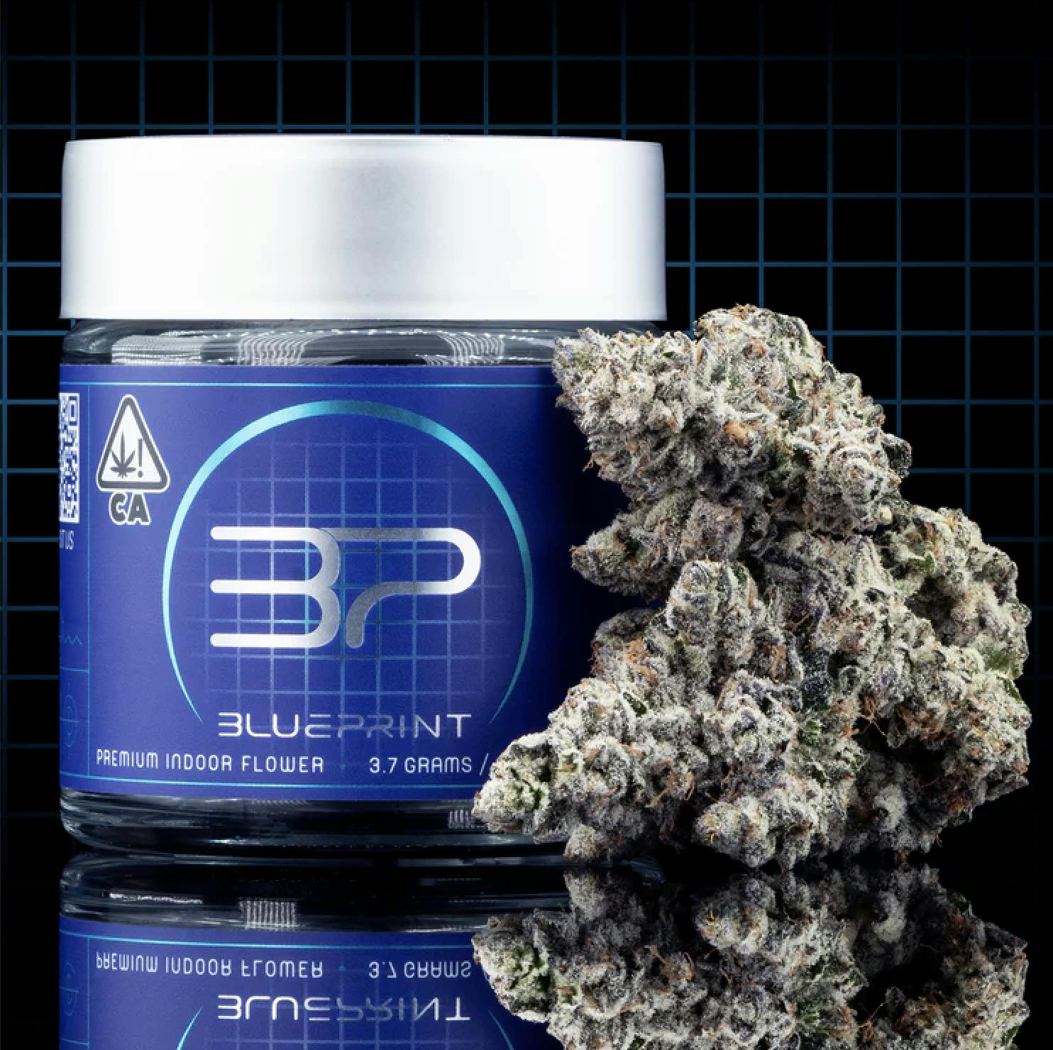 Blueprint 50% OFF special photo