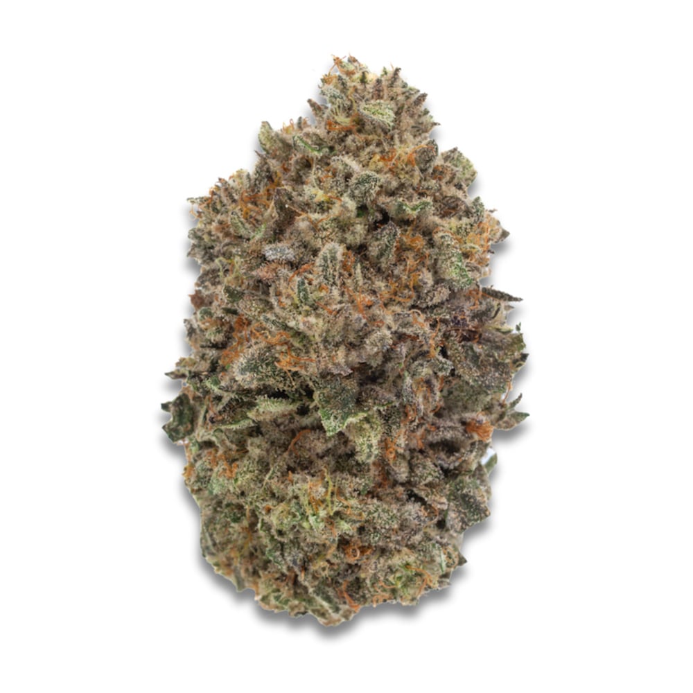 Trees Co. - Champagne Showers Flower