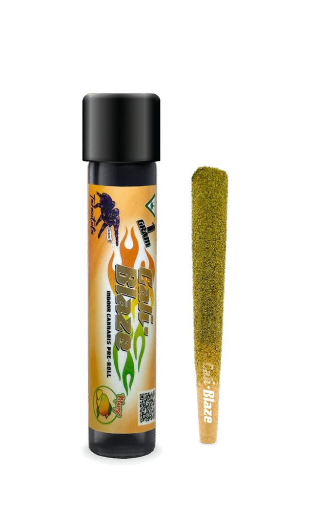 Cali-Blaze - Mango Tarantula - Infused Pre-roll - Sativa - 1g