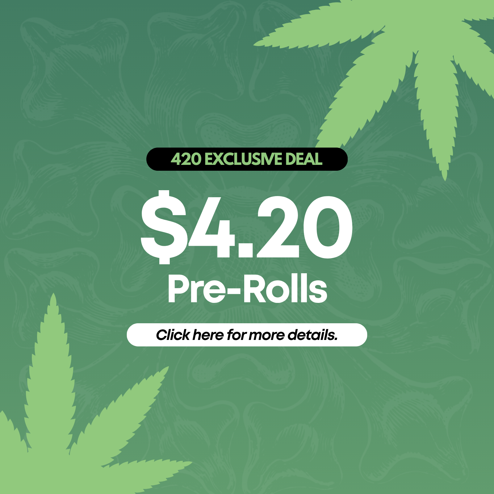 $4.20 Pre-Rolls special