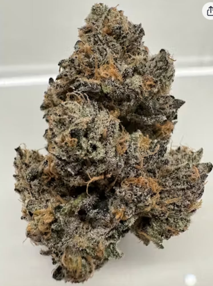 Frozen Cookies Frozen Cookies