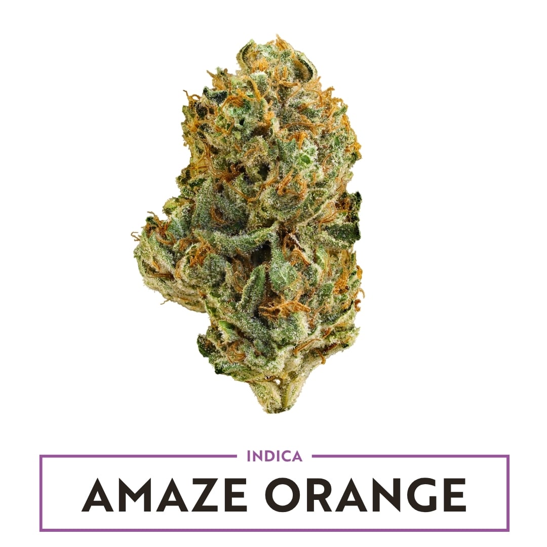 Amaze Orange