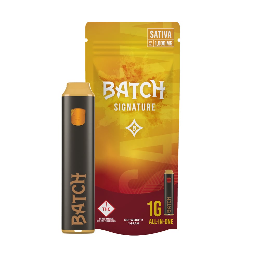 disposable thc vape colorado 8 Best Popular & Trending Disposable Vape Flavors (2025) – Ziip Stick main image 0