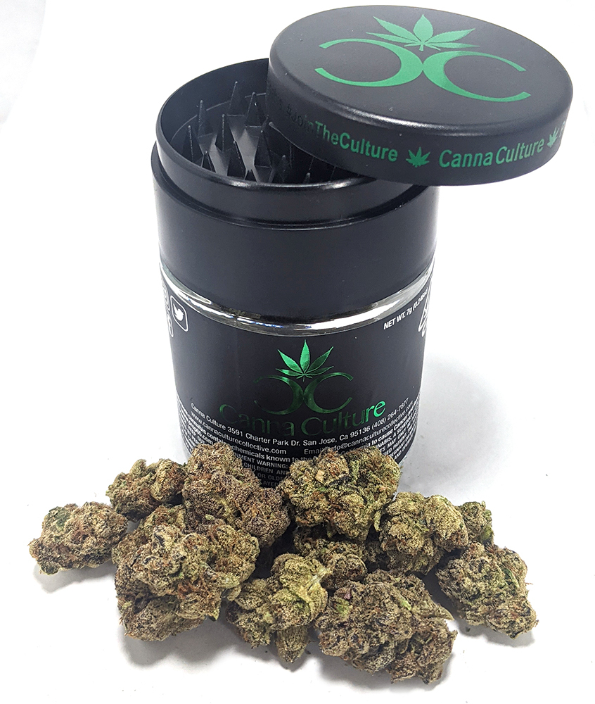 Pie Scream | Canna Culture | Premium Indoor