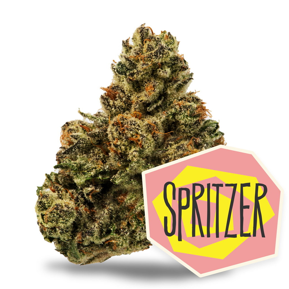 Spritzer
