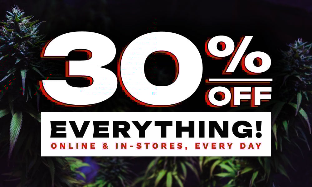 30% OFF EVERYTHING!!! special