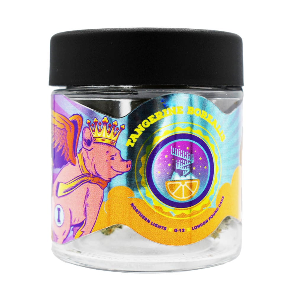 Tangerine Borealis #1