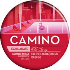 Kiva — Camino Wild Cherry