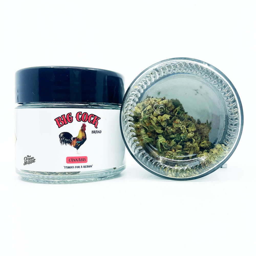 White Gorilla White Gorilla