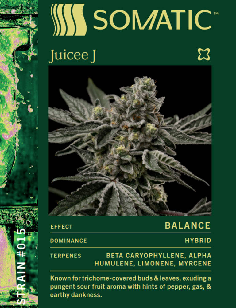 Juicee J