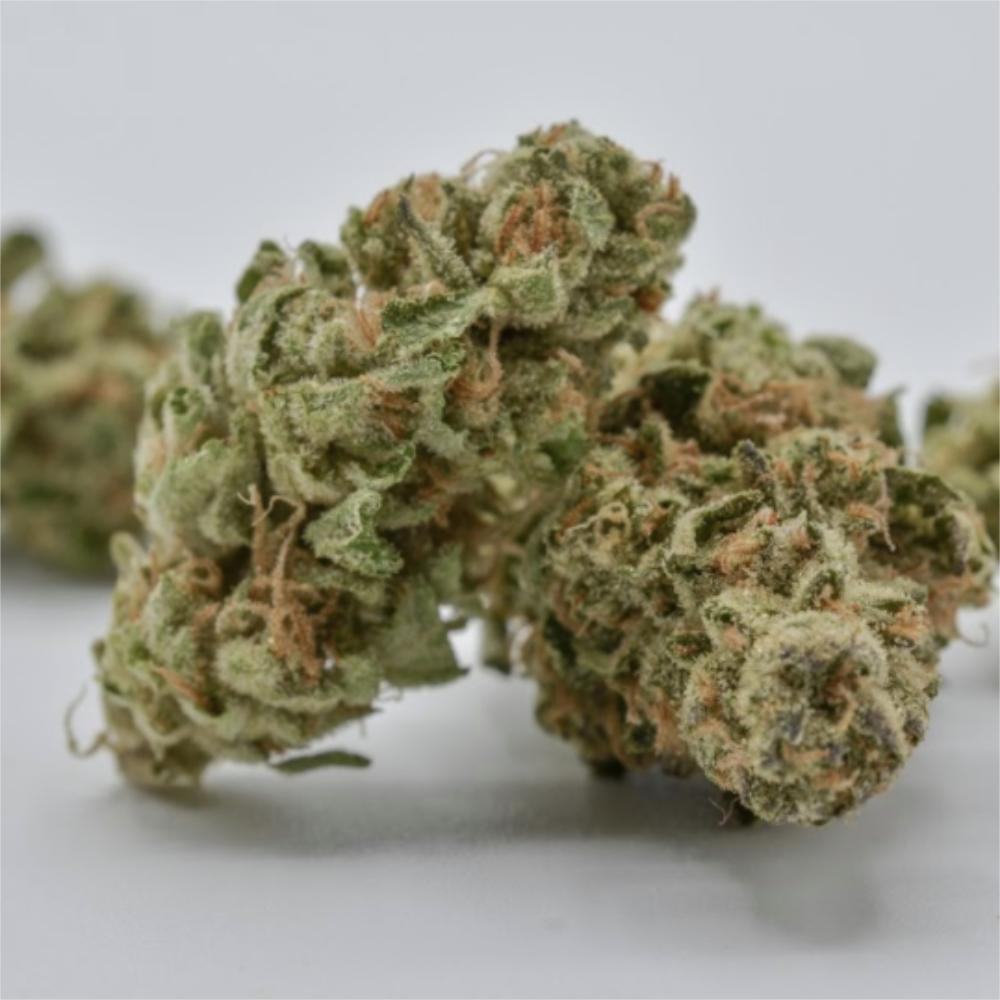 GMO Garlic Cookies