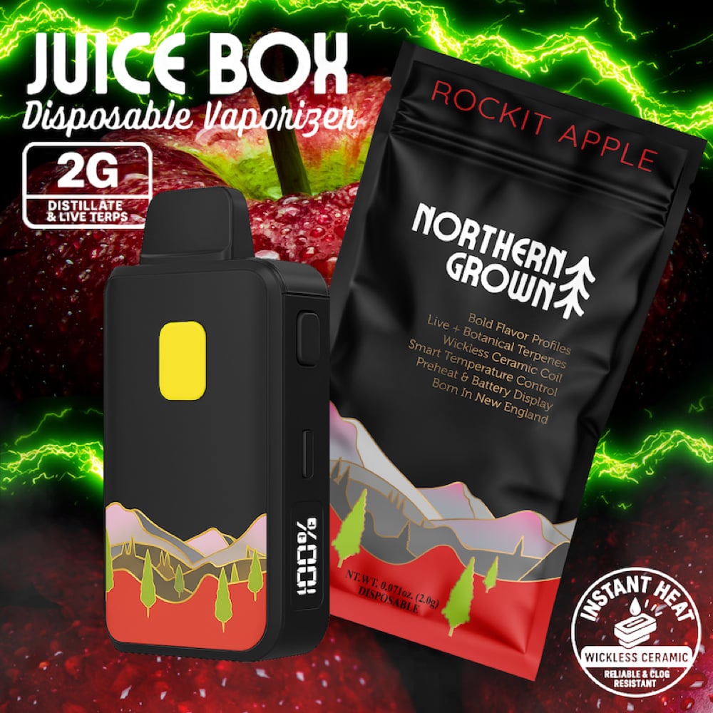 Shop Northern Grown - Rockit Apple Juice Box Disposable (2g) | Fine Fettle  - Smyrna Dispensary Smyrna, GA