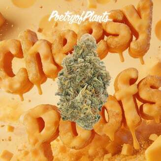 Cheesy Poofs Cheesy Poofs