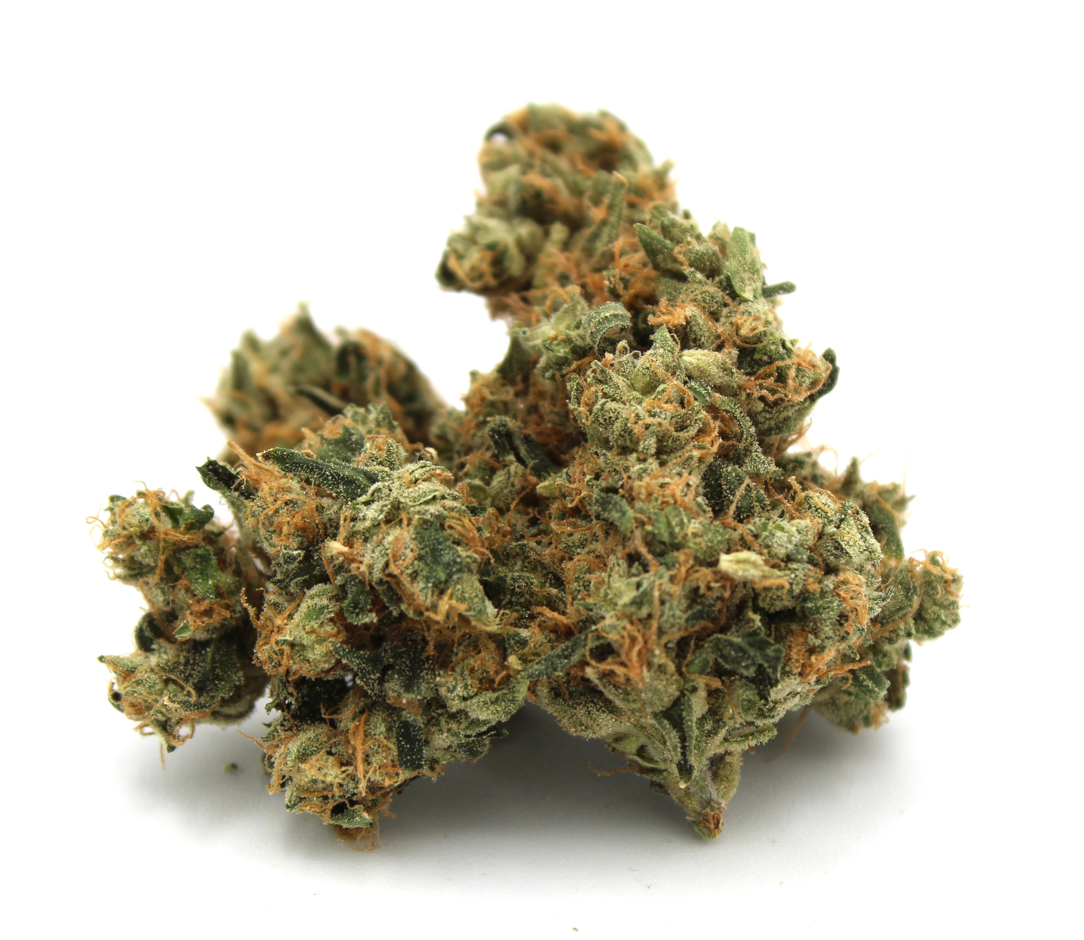 Ginger Tea - 1/8oz in Conway