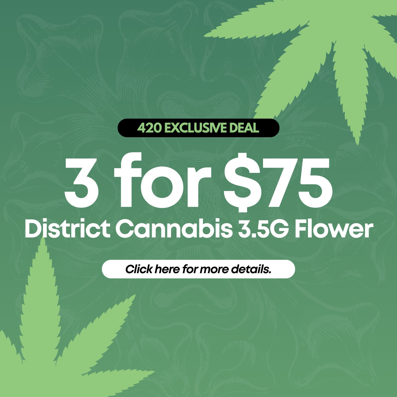 3 for $75 District Cannabis 3.5G Flower special