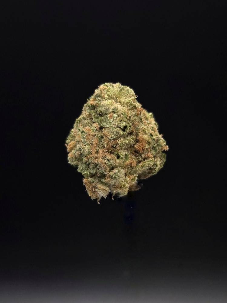 Hash Plant