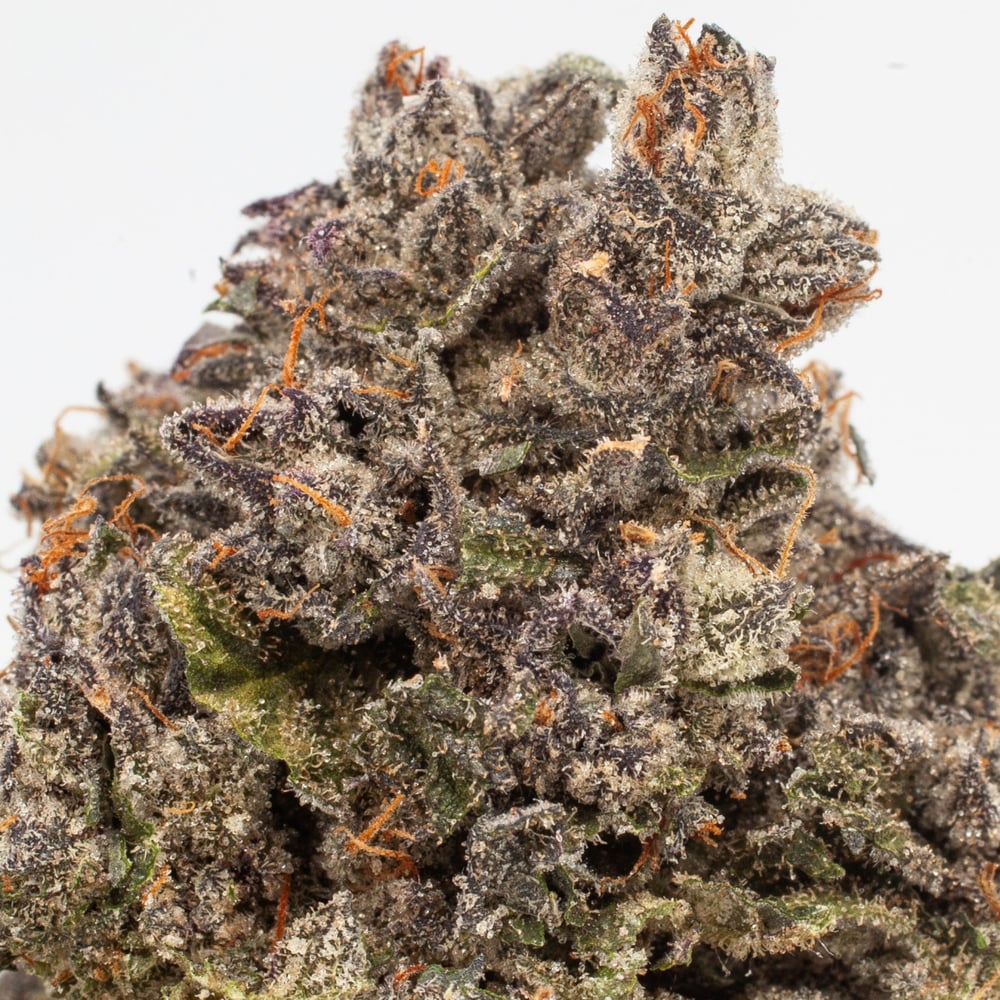 Resinate - Sundae Sunset Flower