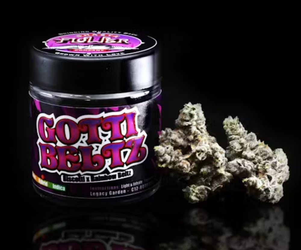 Gotti Beltz Gotti Beltz