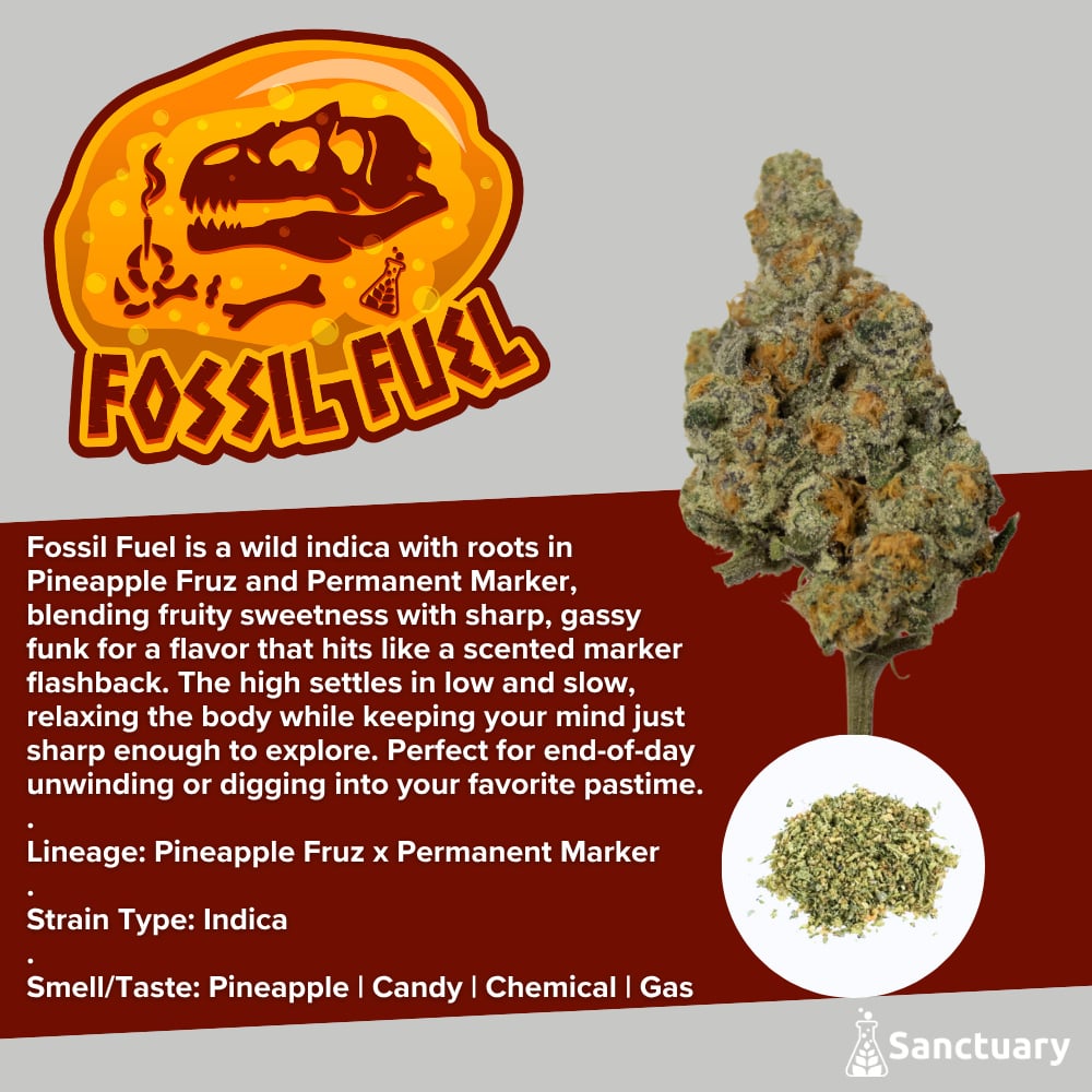 Sanctuary - Fossil Fuel Shake