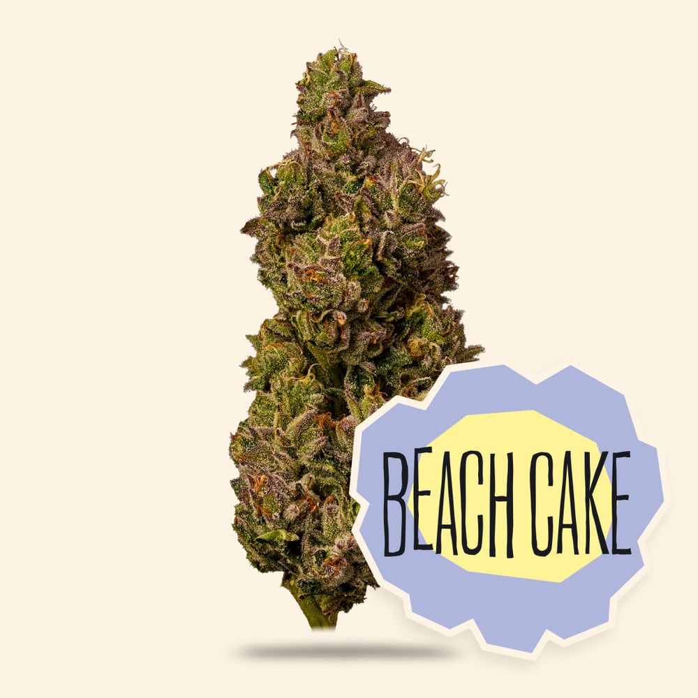 Beach Cake