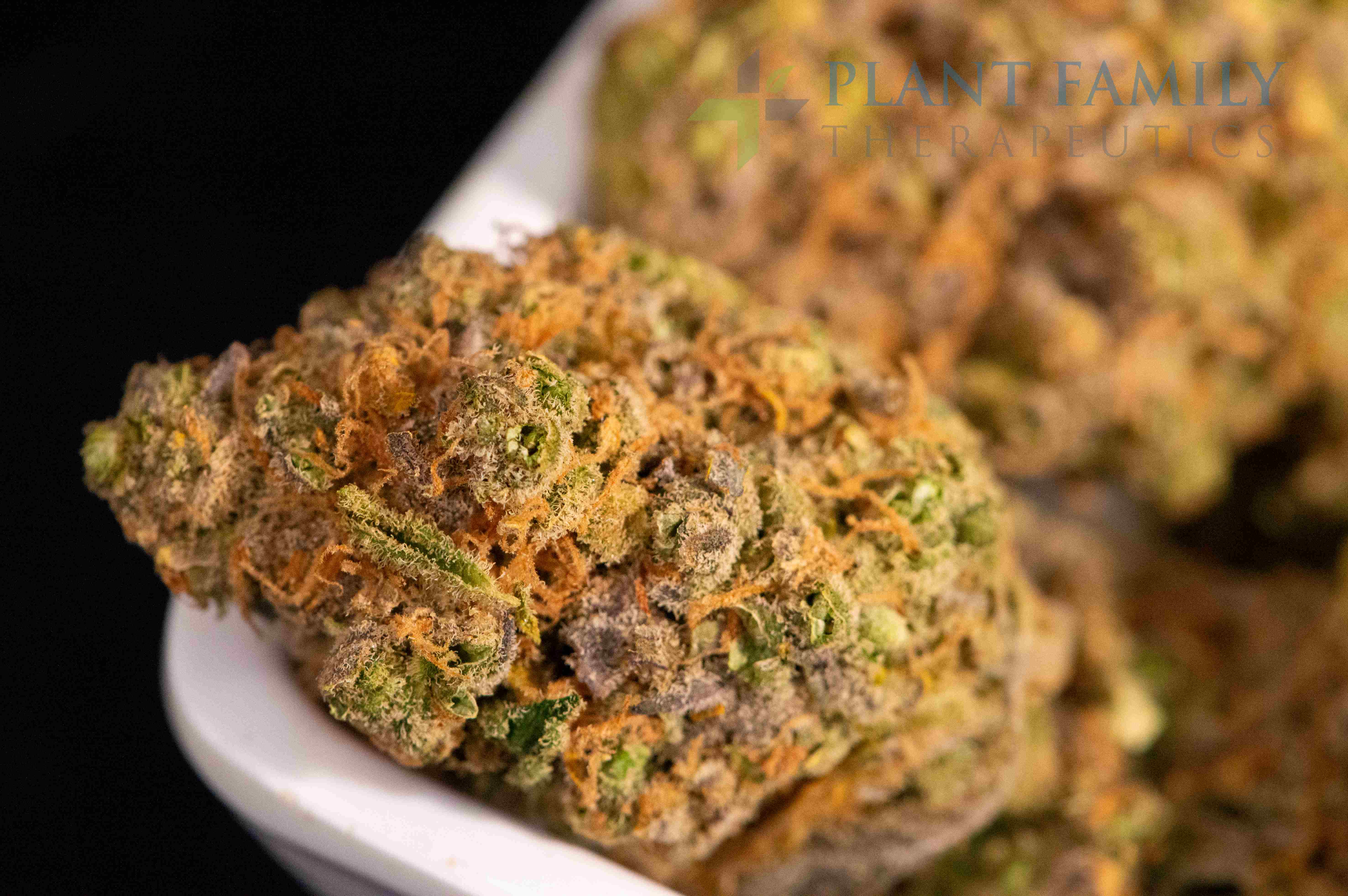 Shop STRAWBERRY COUGH - NSM #G | Plant Family Therapeutics