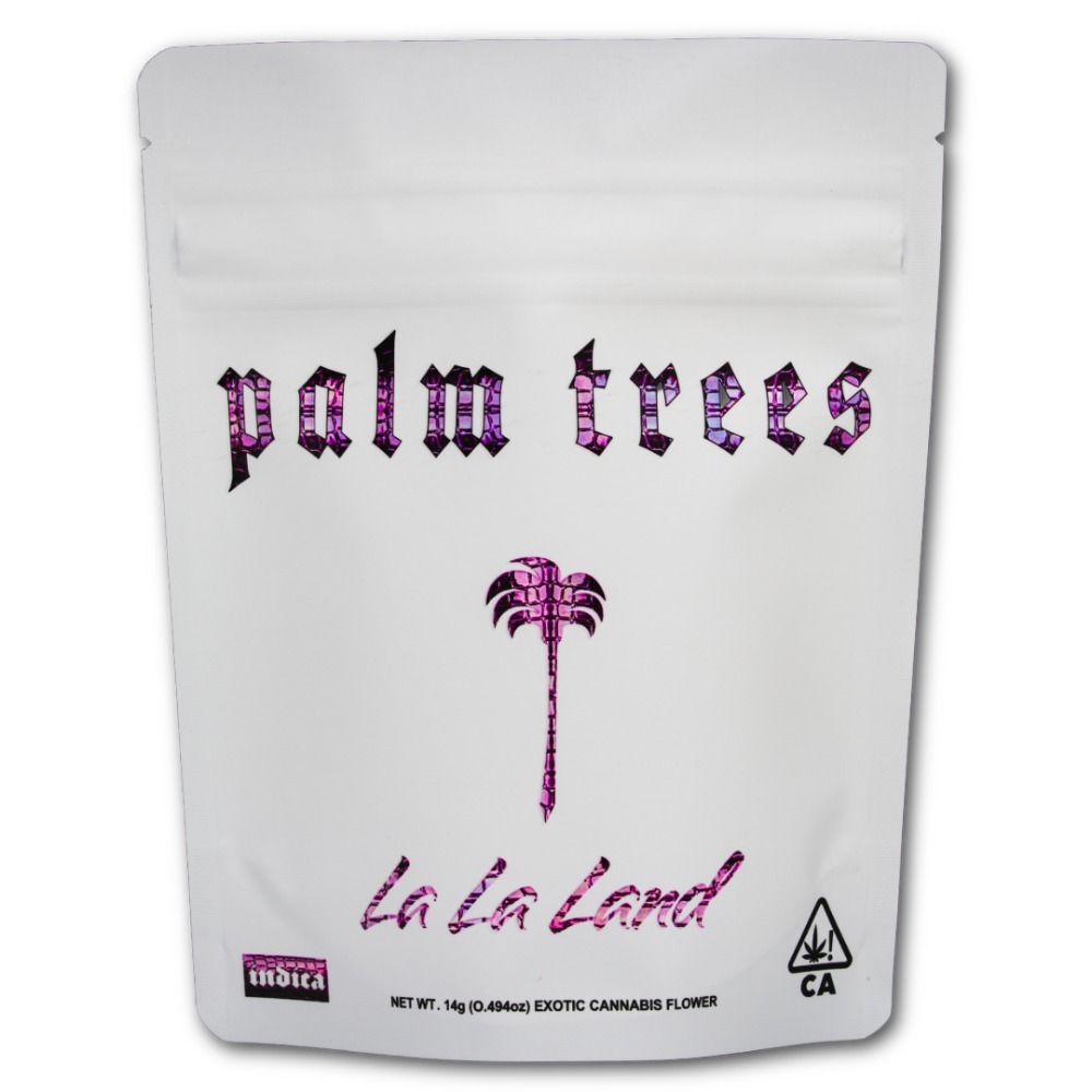 Palm Trees: LA LA Land