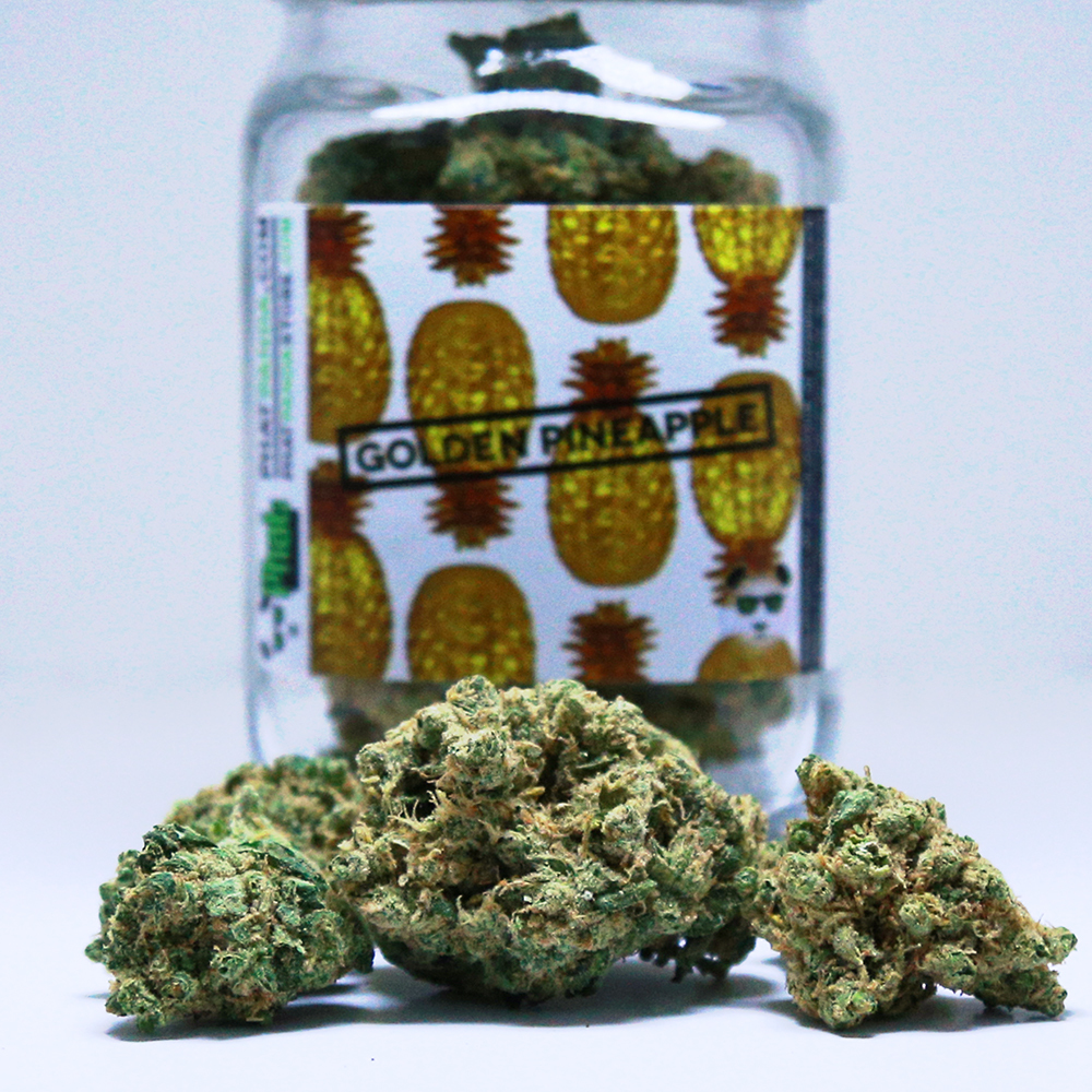Hawaiian Golden Pineapple