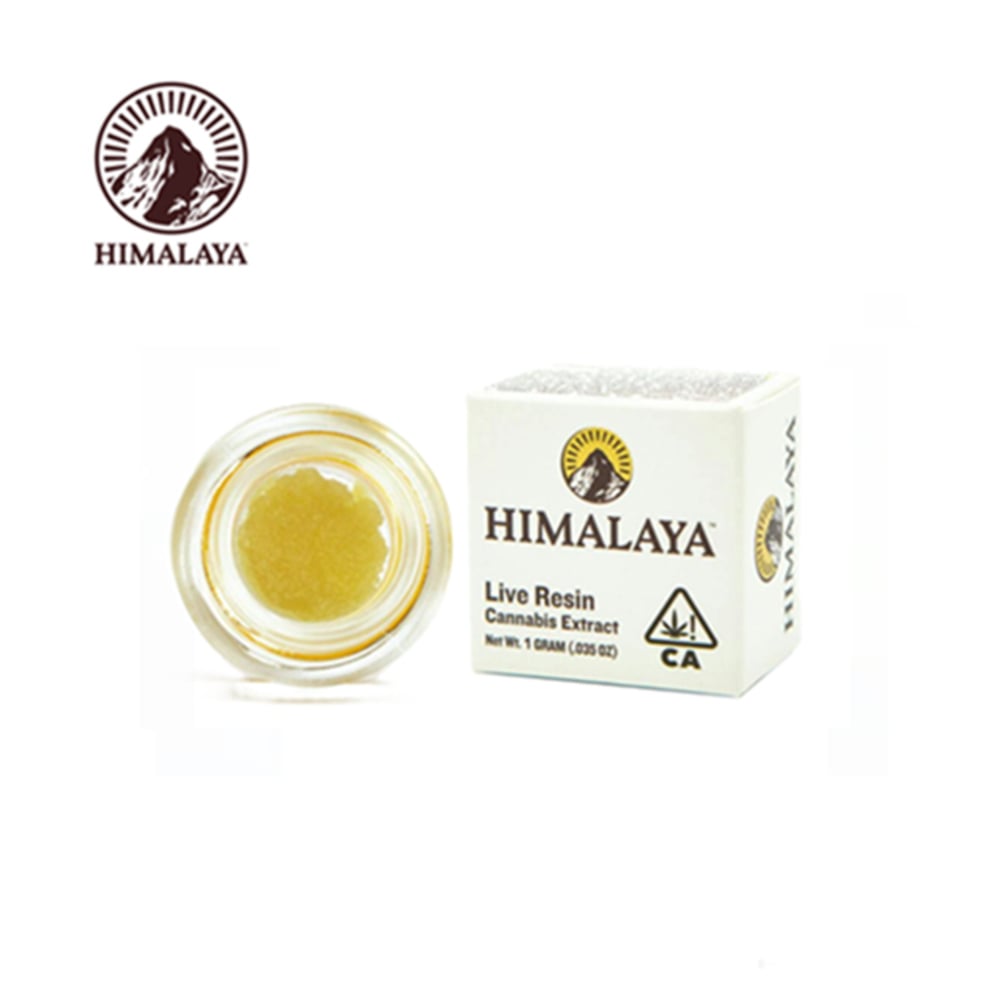 GMO 1G LIVE RESIN