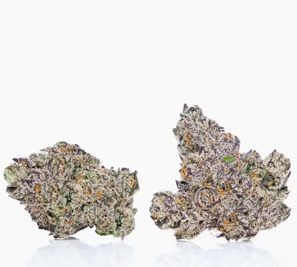 Tangie Fever Tangie Fever