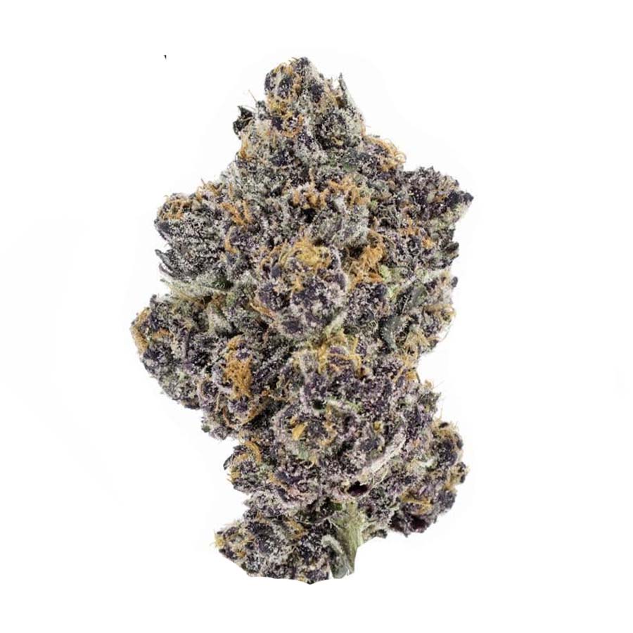 Purple Tangie