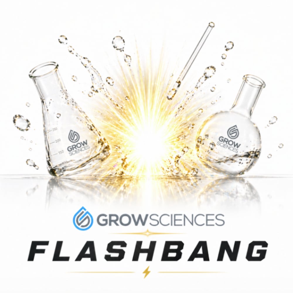 Flashbang