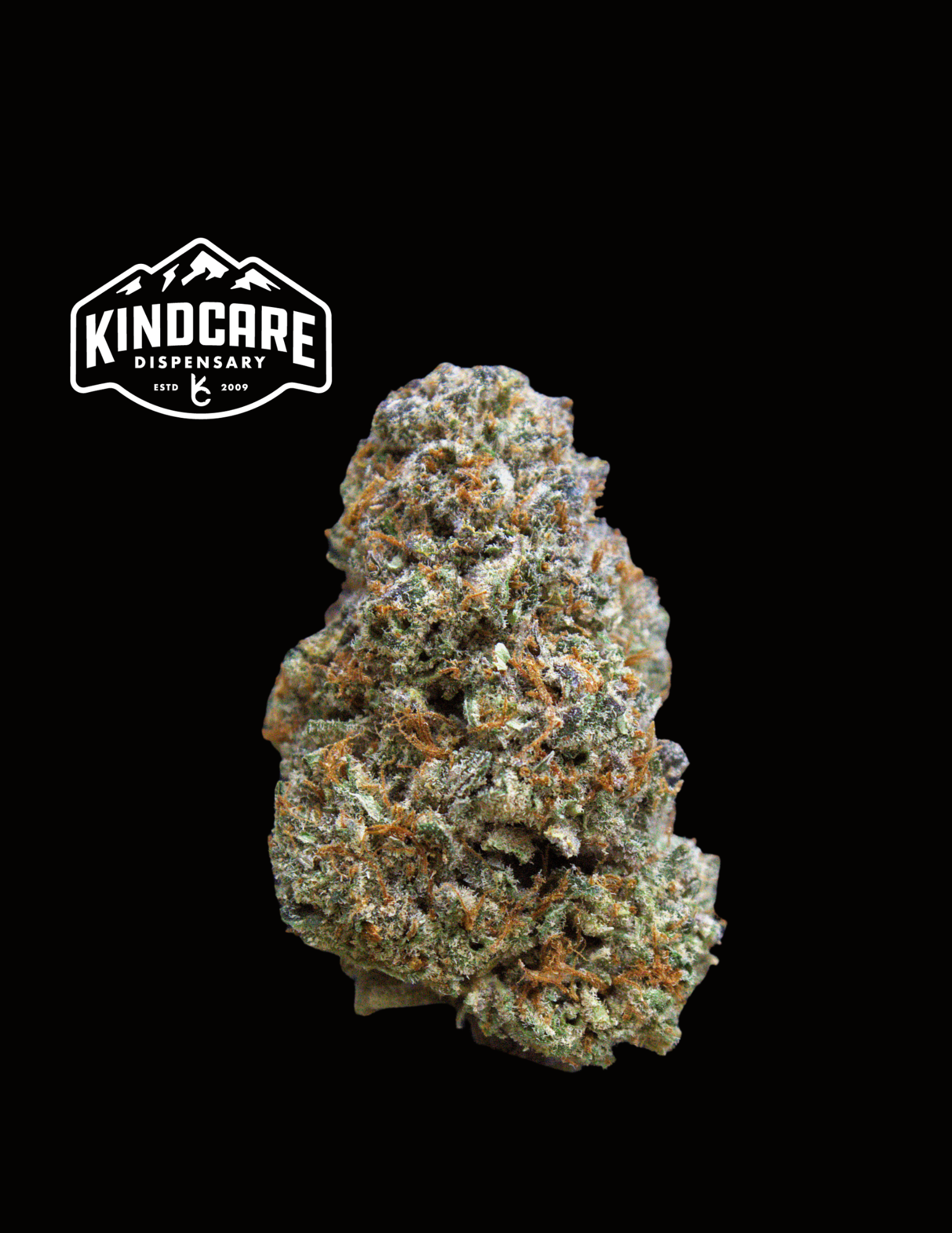 Sherbet Cream Pie