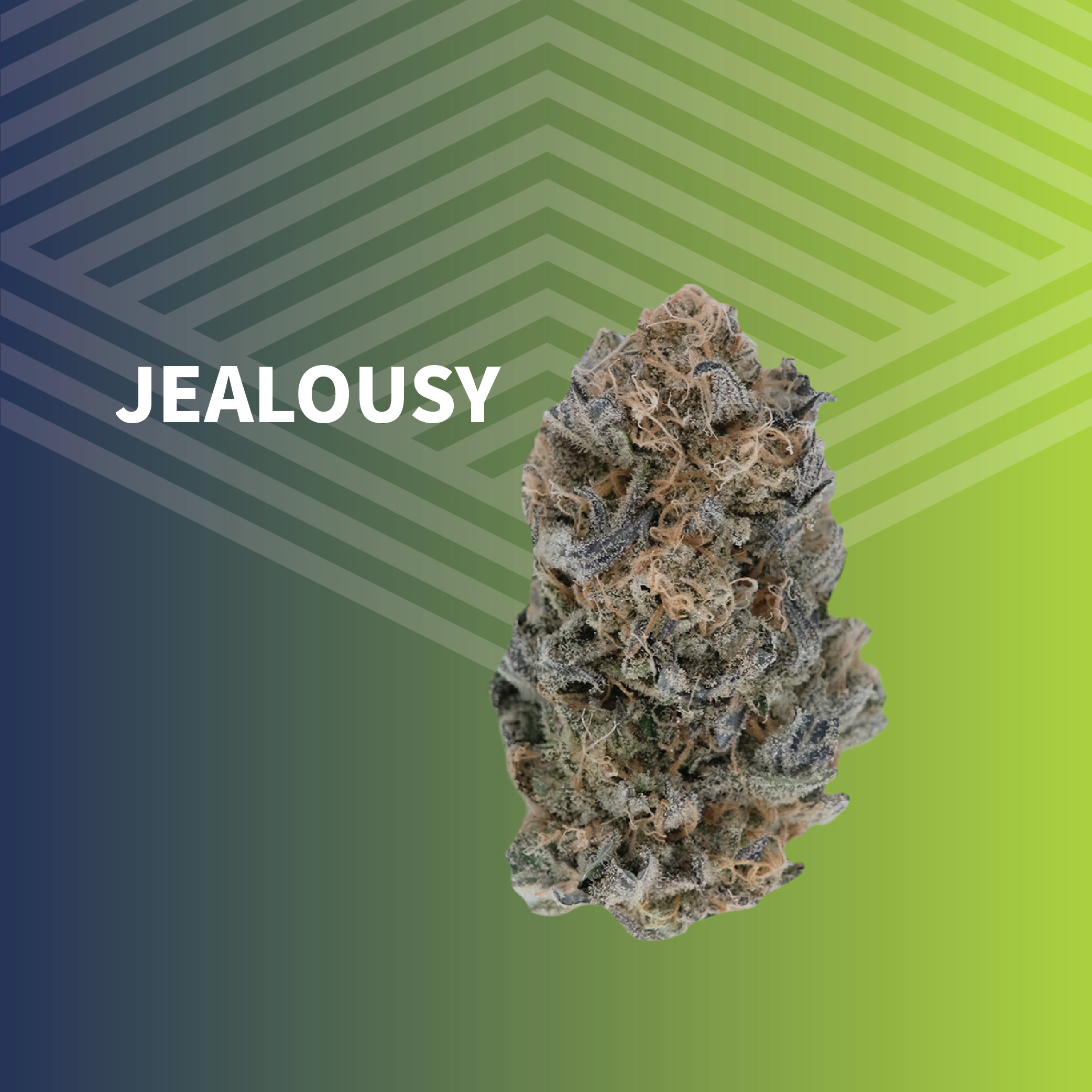 Jealousy
