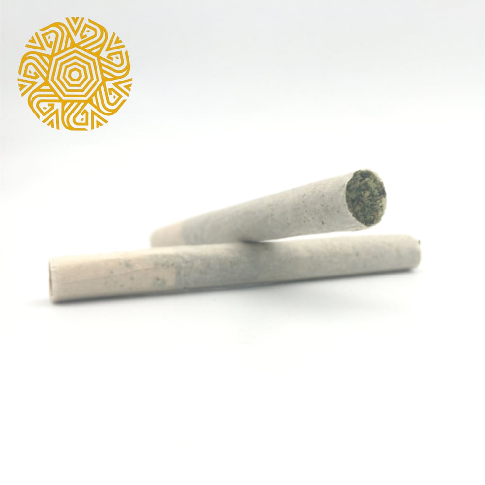 Cheddar Jack [.5g]